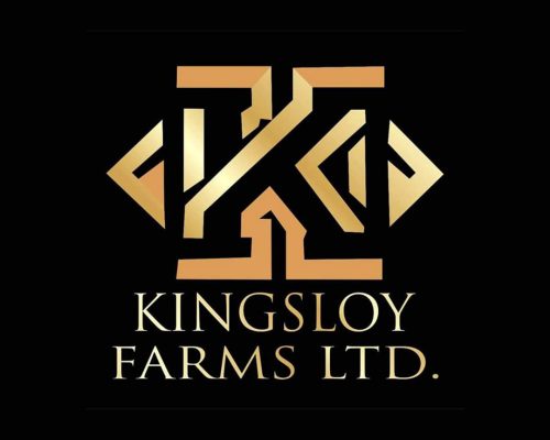 kingsloy group